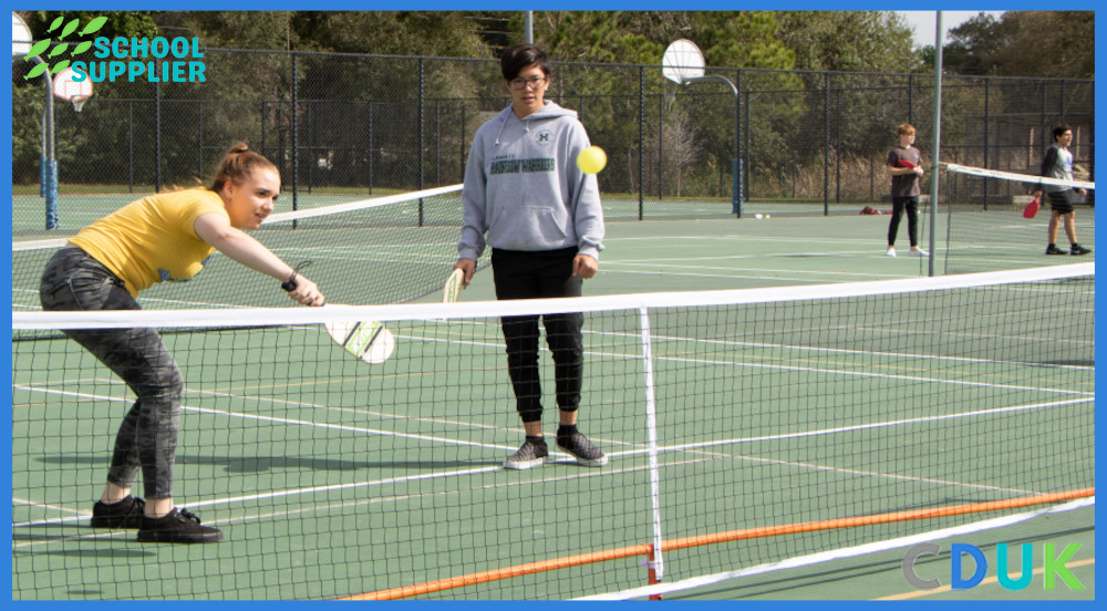 pickleball image 2